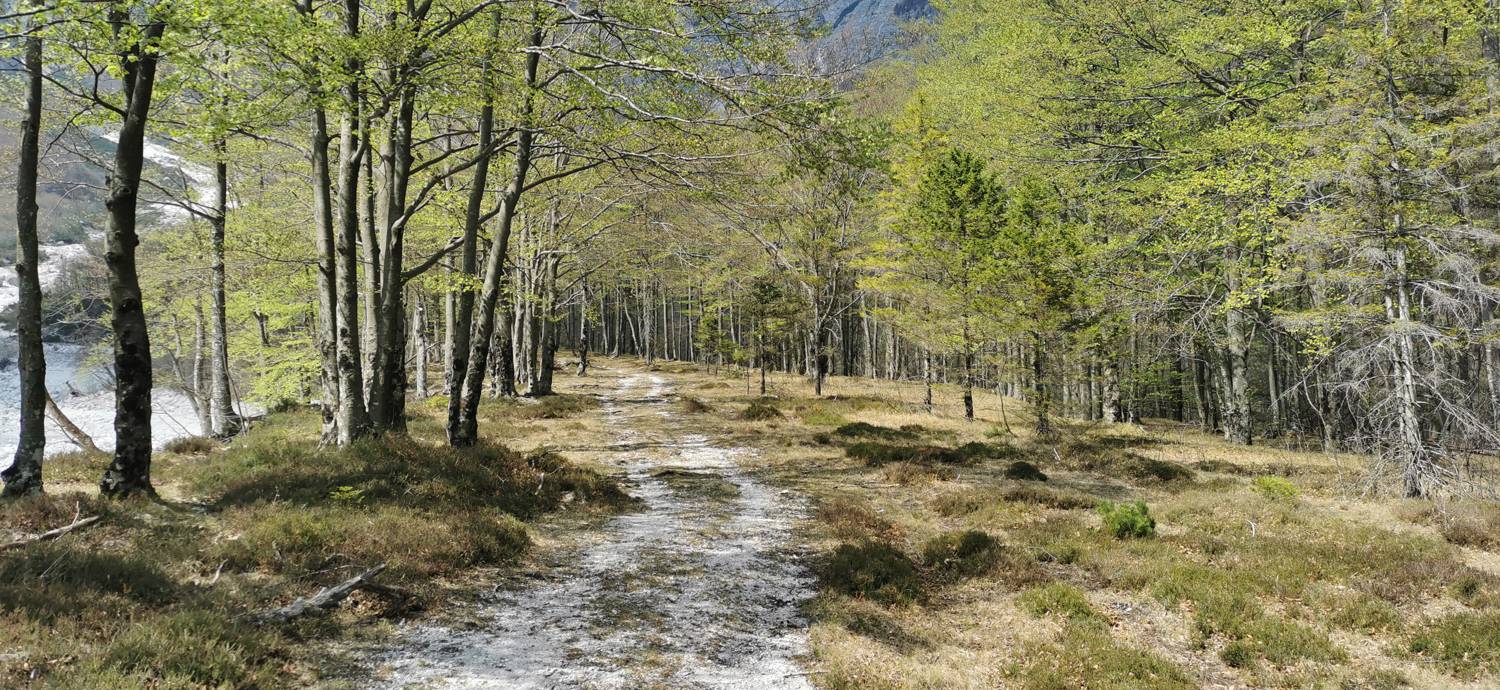 Planina Srednica - Planina Lašca slika 21