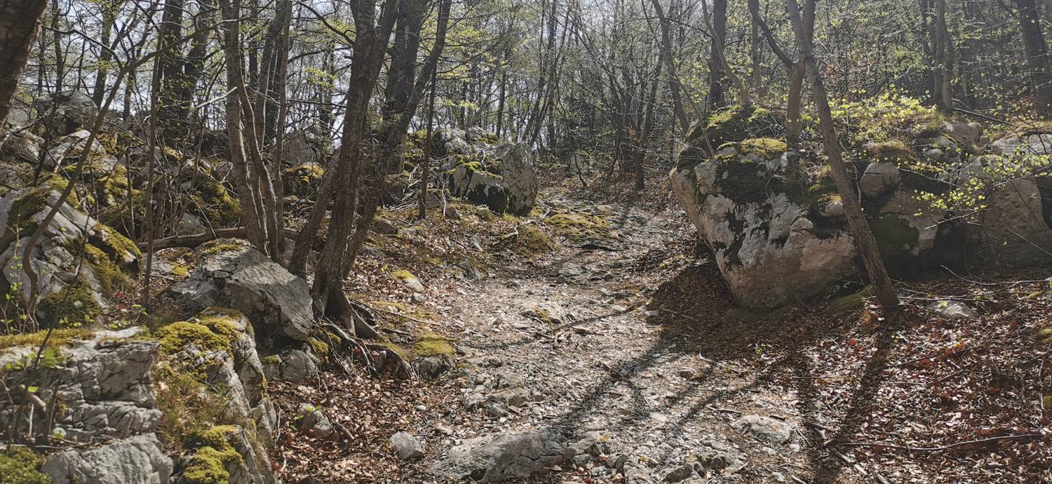 Planina Srednica - Planina Lašca slika 13