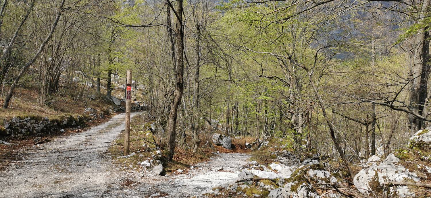 Planina Srednica - Planina Lašca slika 12