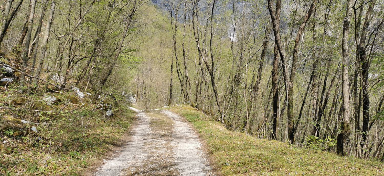 Planina Srednica - Planina Lašca slika 10