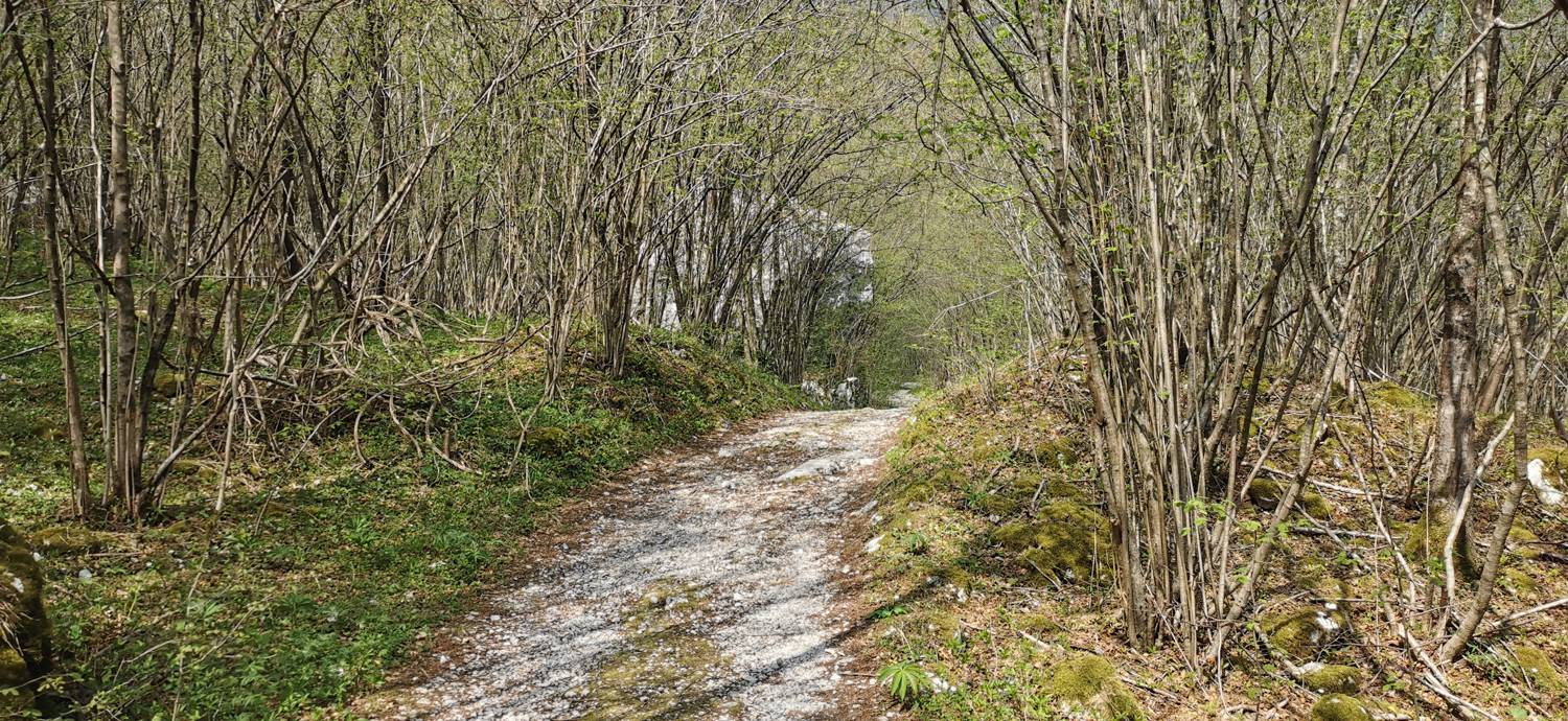 Planina Srednica - Planina Lašca slika 9