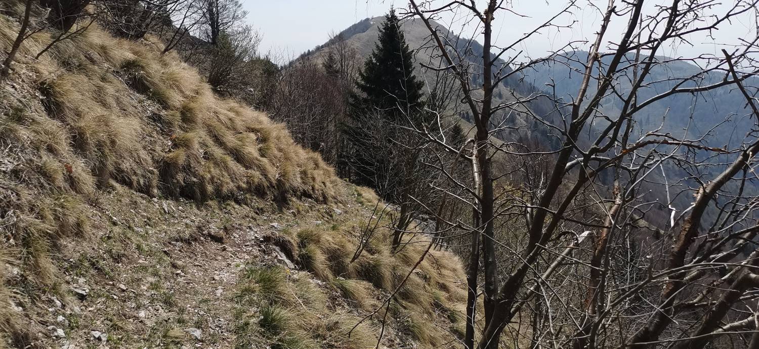 Planina Kuhinja - Planina Sleme slika 24