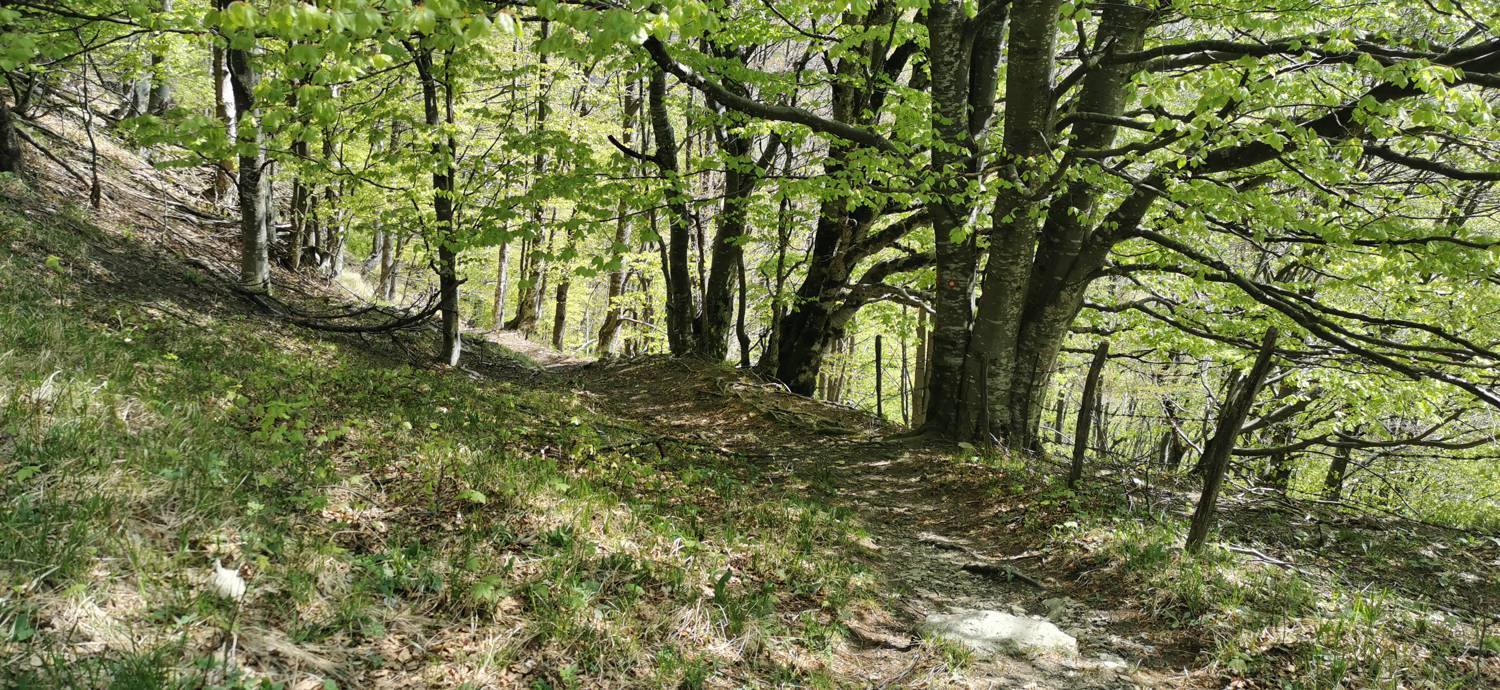 Čadrg - Tolminski Kuk slika 26