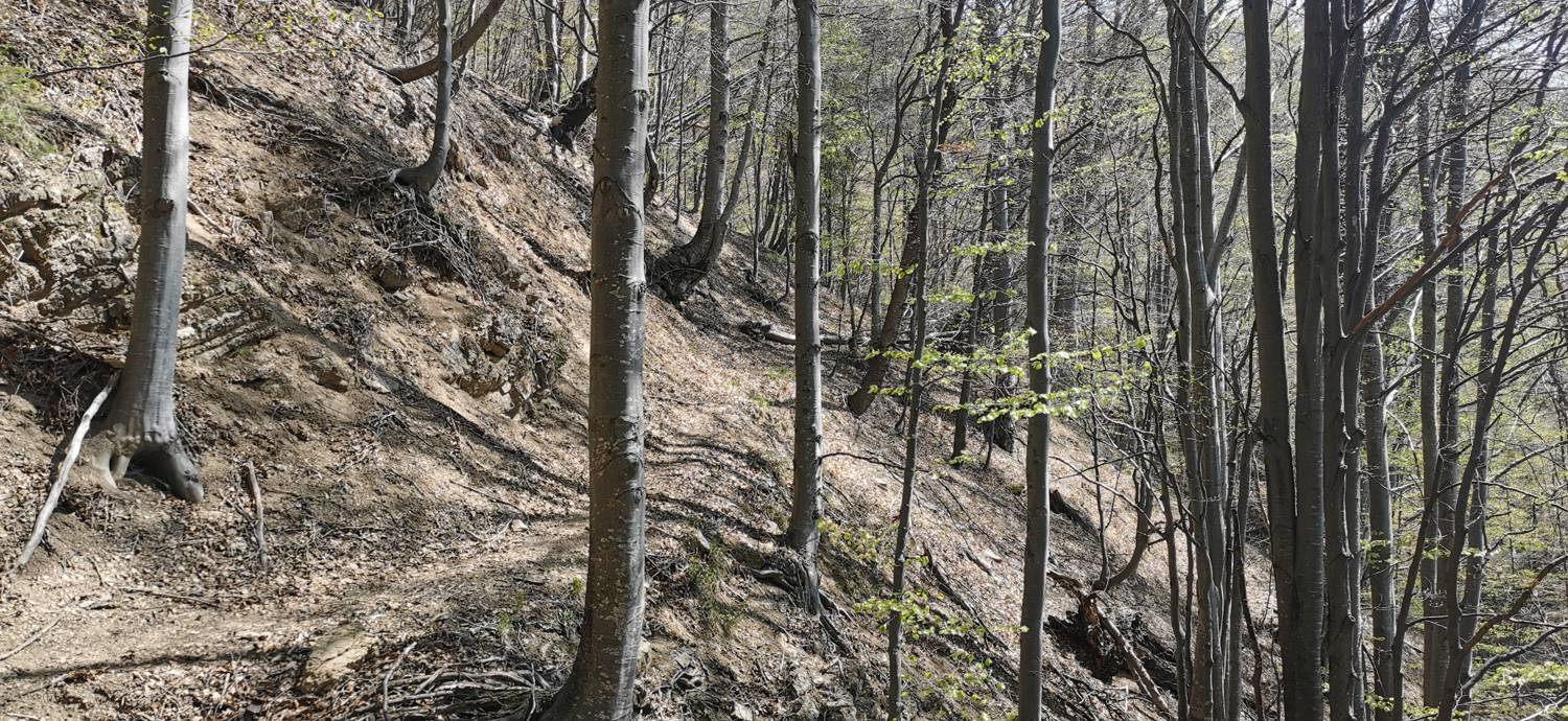 Čadrg - Tolminski Kuk slika 29