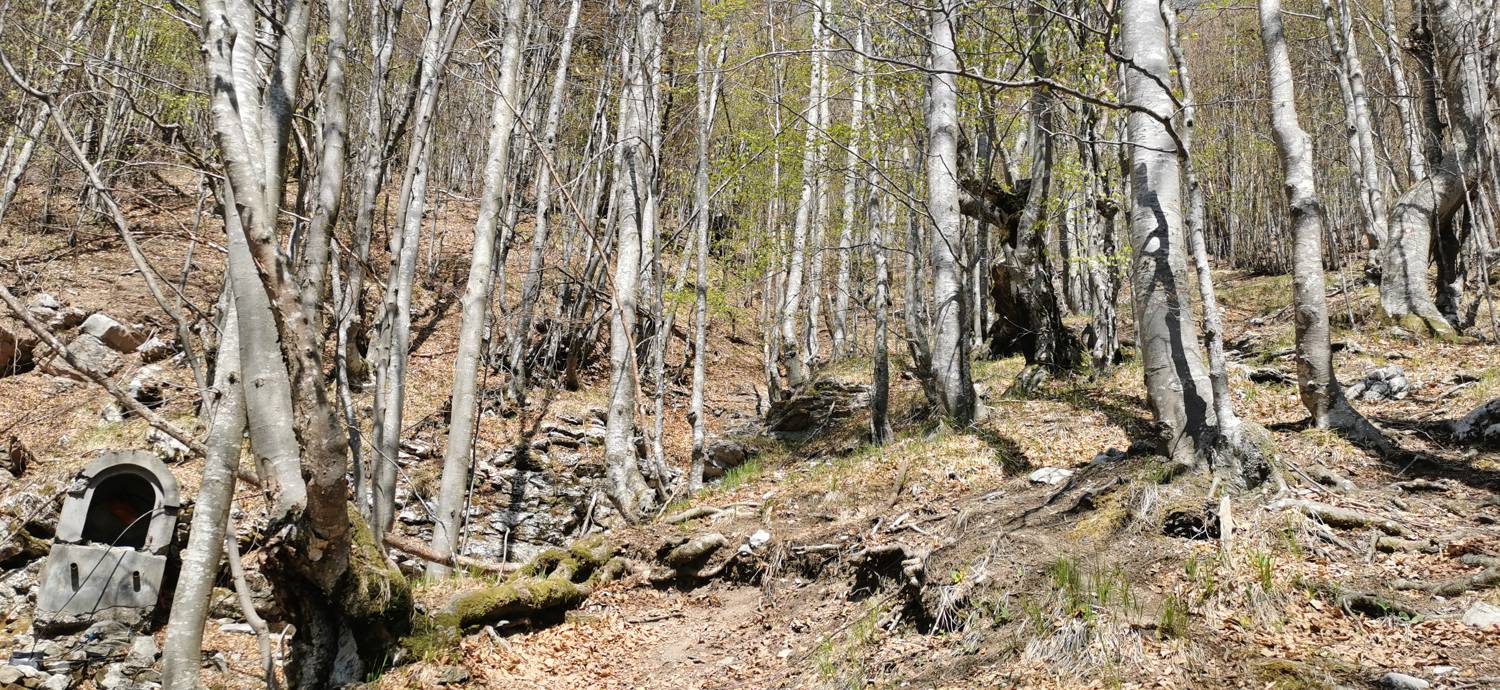 Čadrg - Tolminski Kuk slika 31