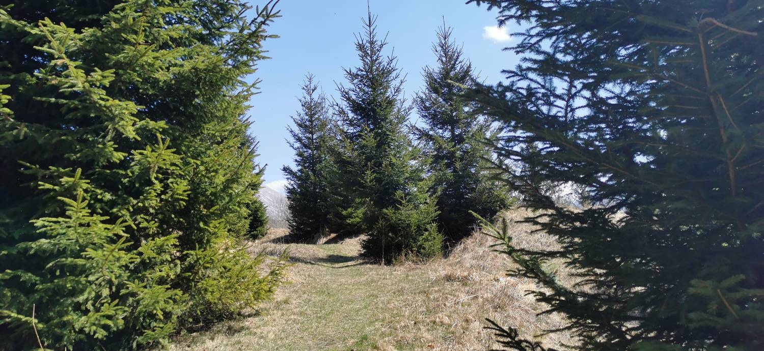 Čadrg - Tolminski Kuk slika 35