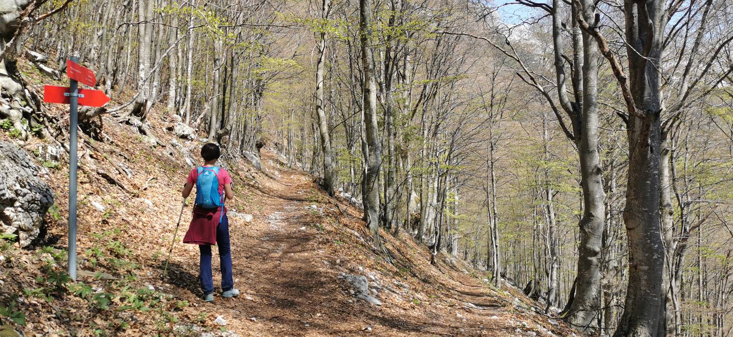 Čadrg - Tolminski Kuk slika 36