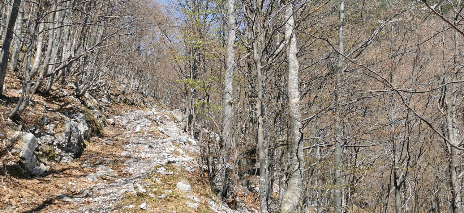 Čadrg - Tolminski Kuk slika 38
