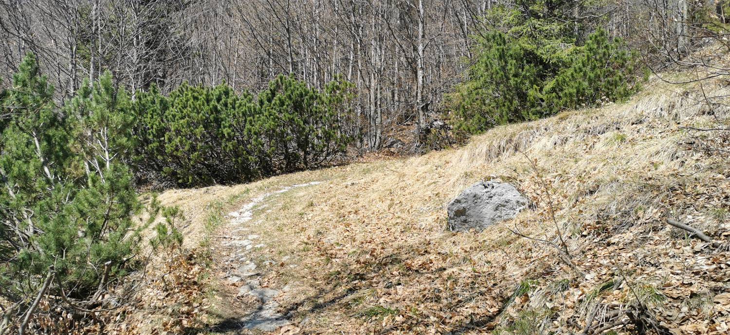 Čadrg - Tolminski Kuk slika 40