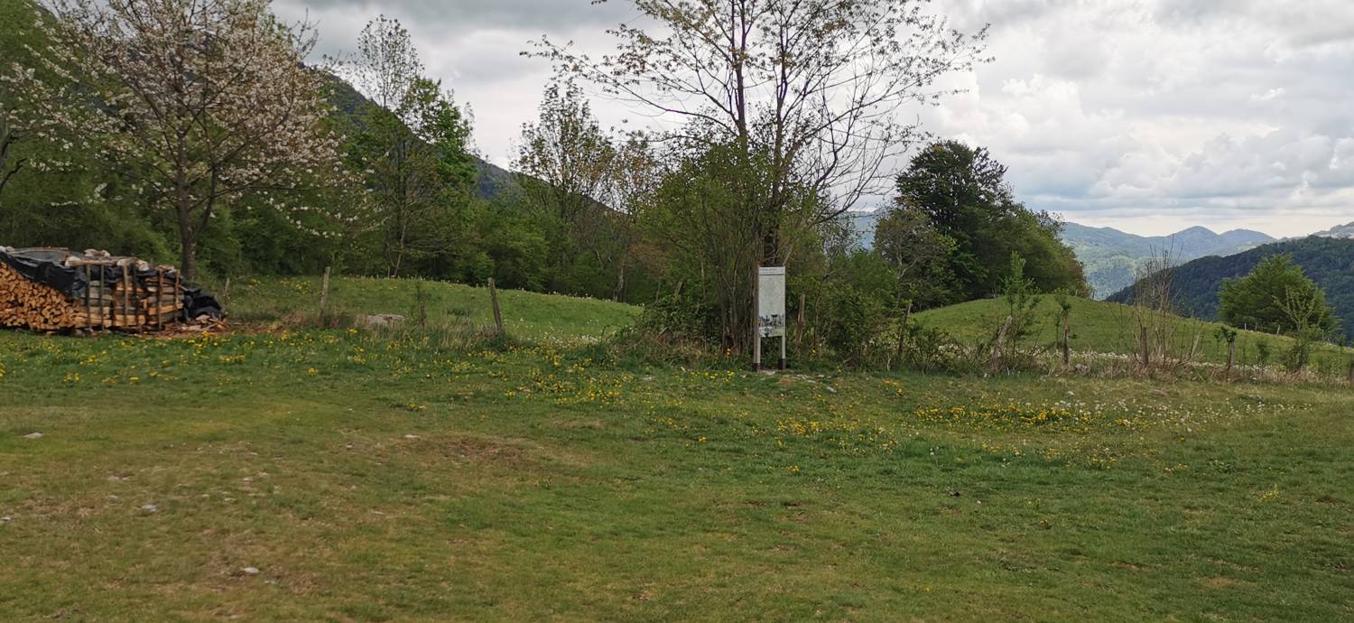 Drežniške Ravne - Planina Zaprikraj slika 1
