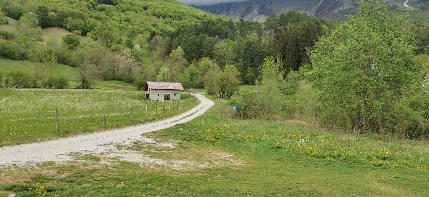 Drežniške Ravne - Planina Zaprikraj slika 3