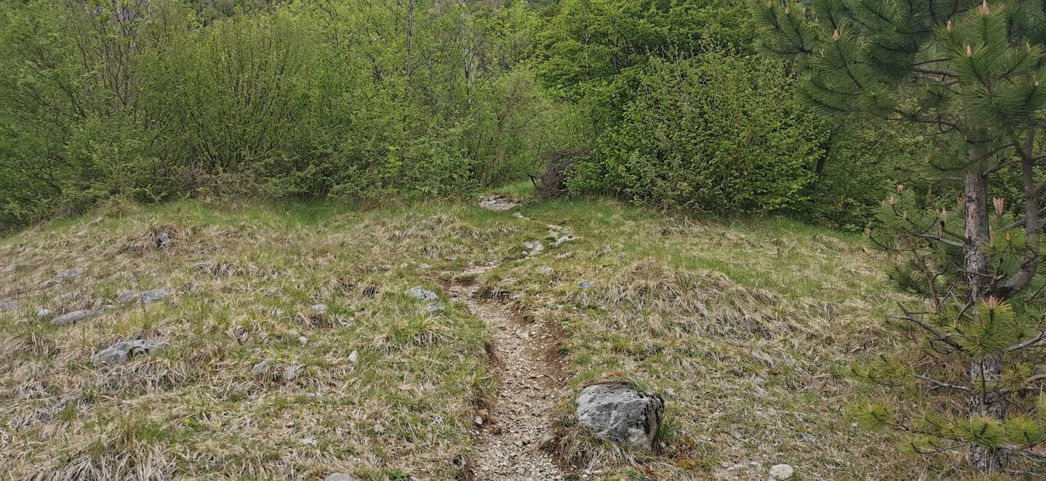 Drežniške Ravne - Planina Zaprikraj slika 7