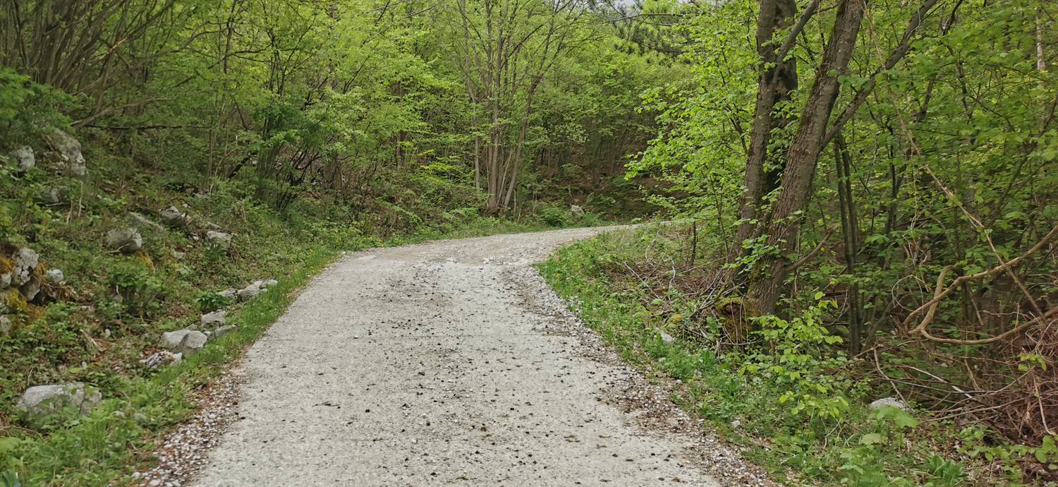 Drežniške Ravne - Planina Zaprikraj slika 9