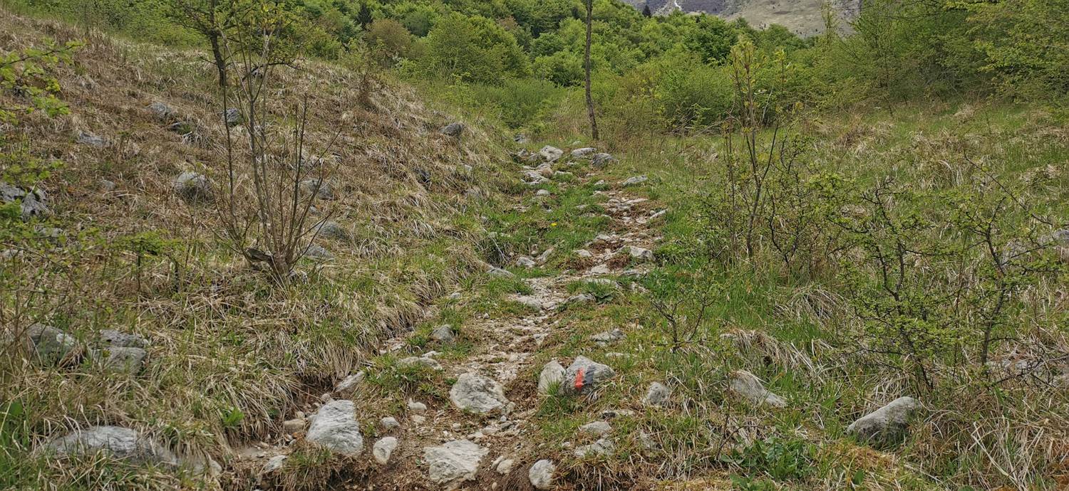 Drežniške Ravne - Planina Zaprikraj slika 11