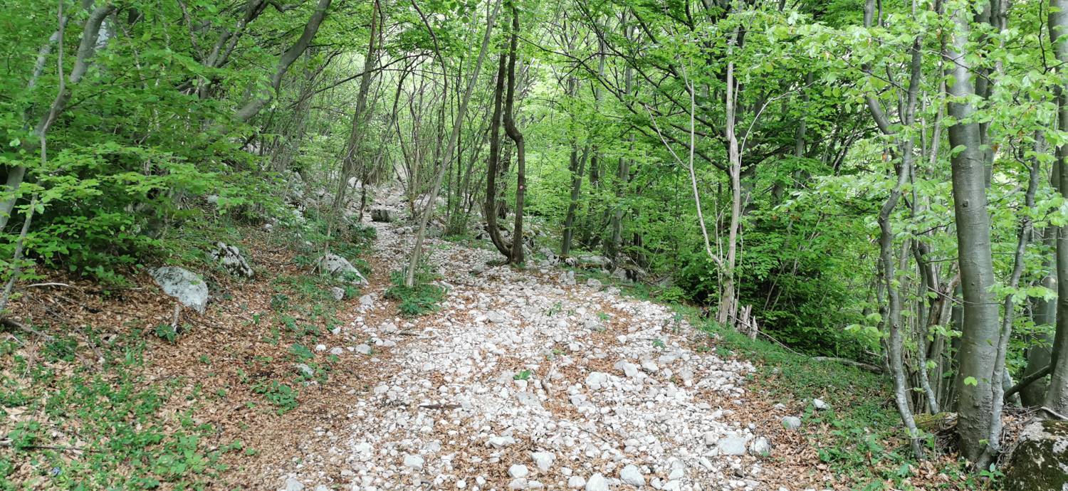 Drežniške Ravne - Planina Zaprikraj slika 15