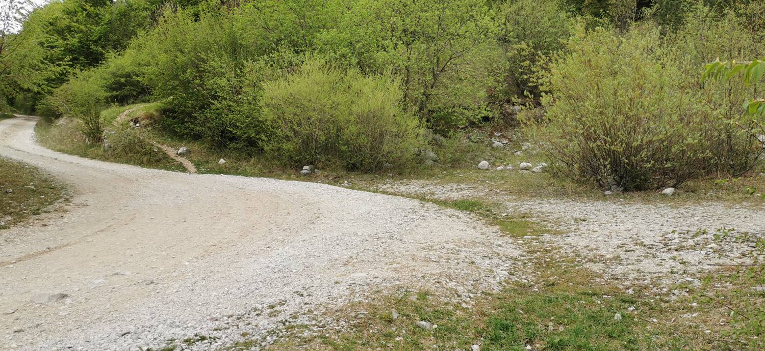 Drežniške Ravne - Planina Zaprikraj slika 20