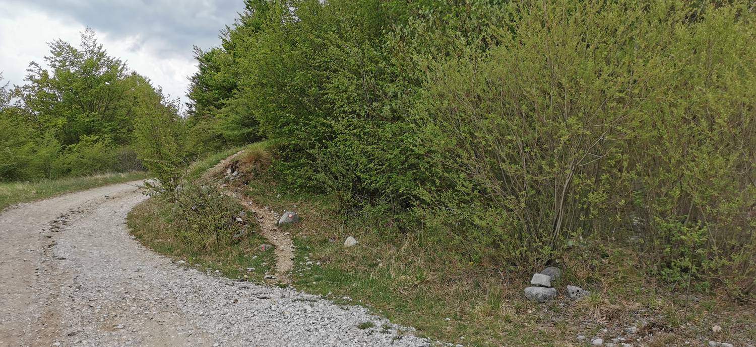 Drežniške Ravne - Planina Zaprikraj slika 21