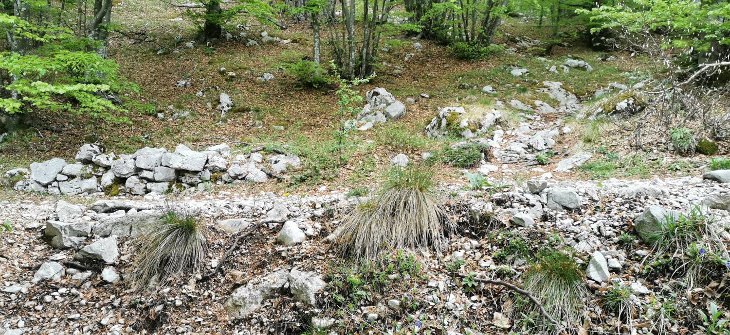 Drežniške Ravne - Planina Zaprikraj slika 24