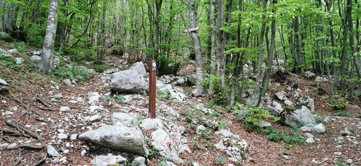 Drežniške Ravne - Planina Zaprikraj slika 26