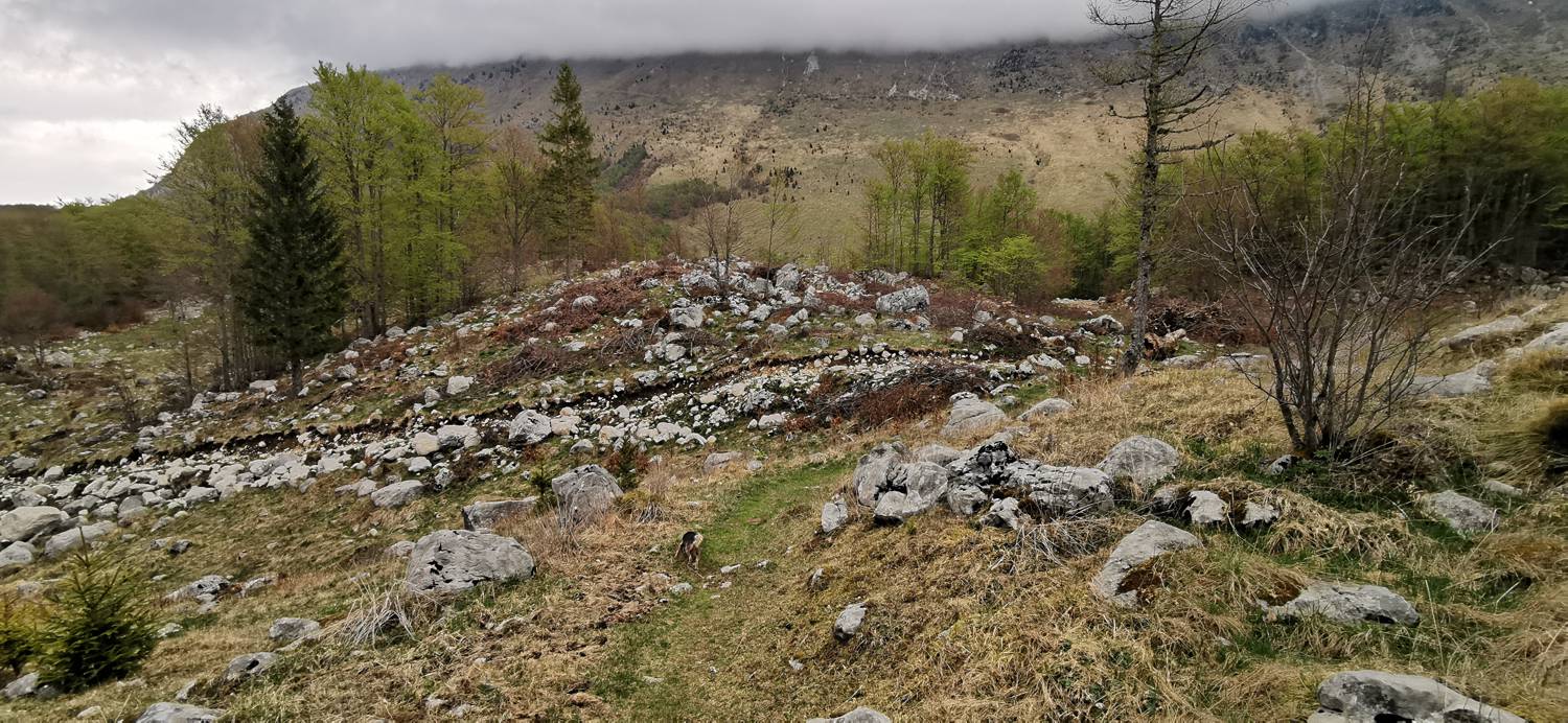Drežniške Ravne - Planina Zaprikraj slika 36