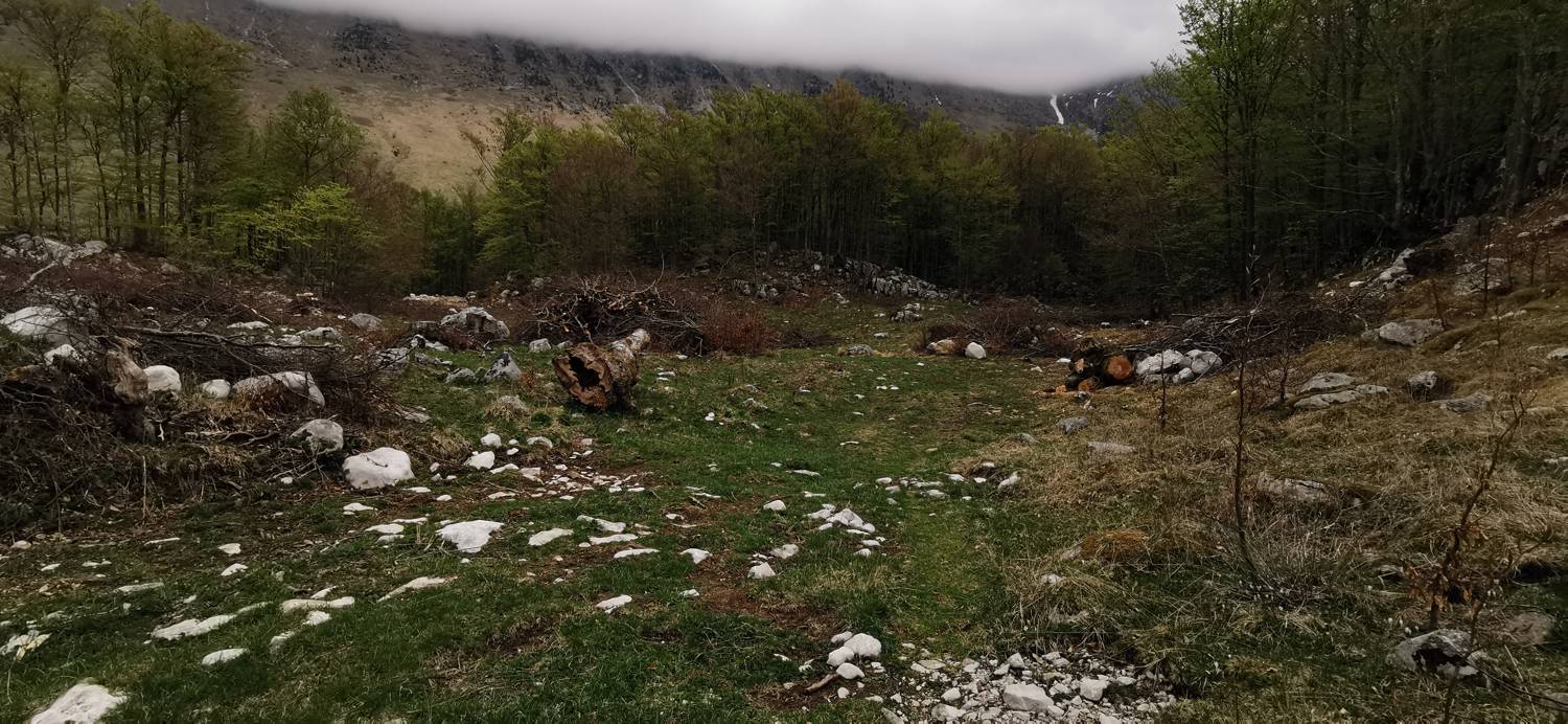 Drežniške Ravne - Planina Zaprikraj slika 37