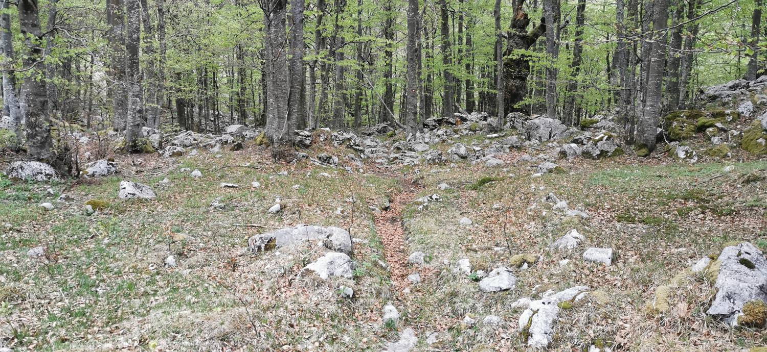 Drežniške Ravne - Planina Zaprikraj slika 39