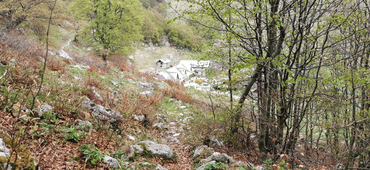 Drežniške Ravne - Planina Zaprikraj slika 40