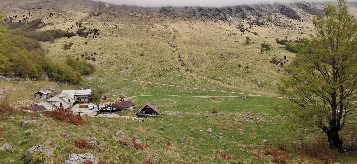 Drežniške Ravne - Planina Zaprikraj slika 41
