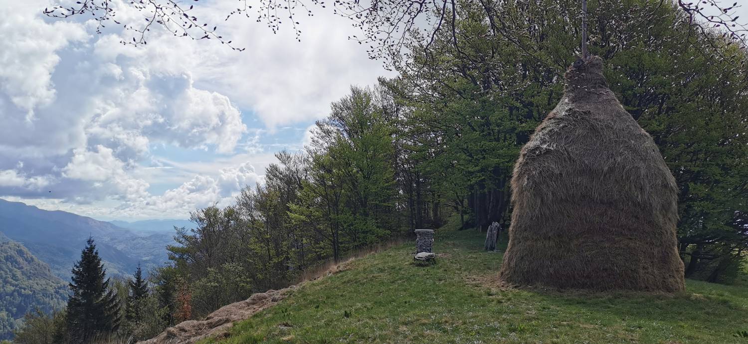 Preval Vrh Ravni - Kojca - main photo