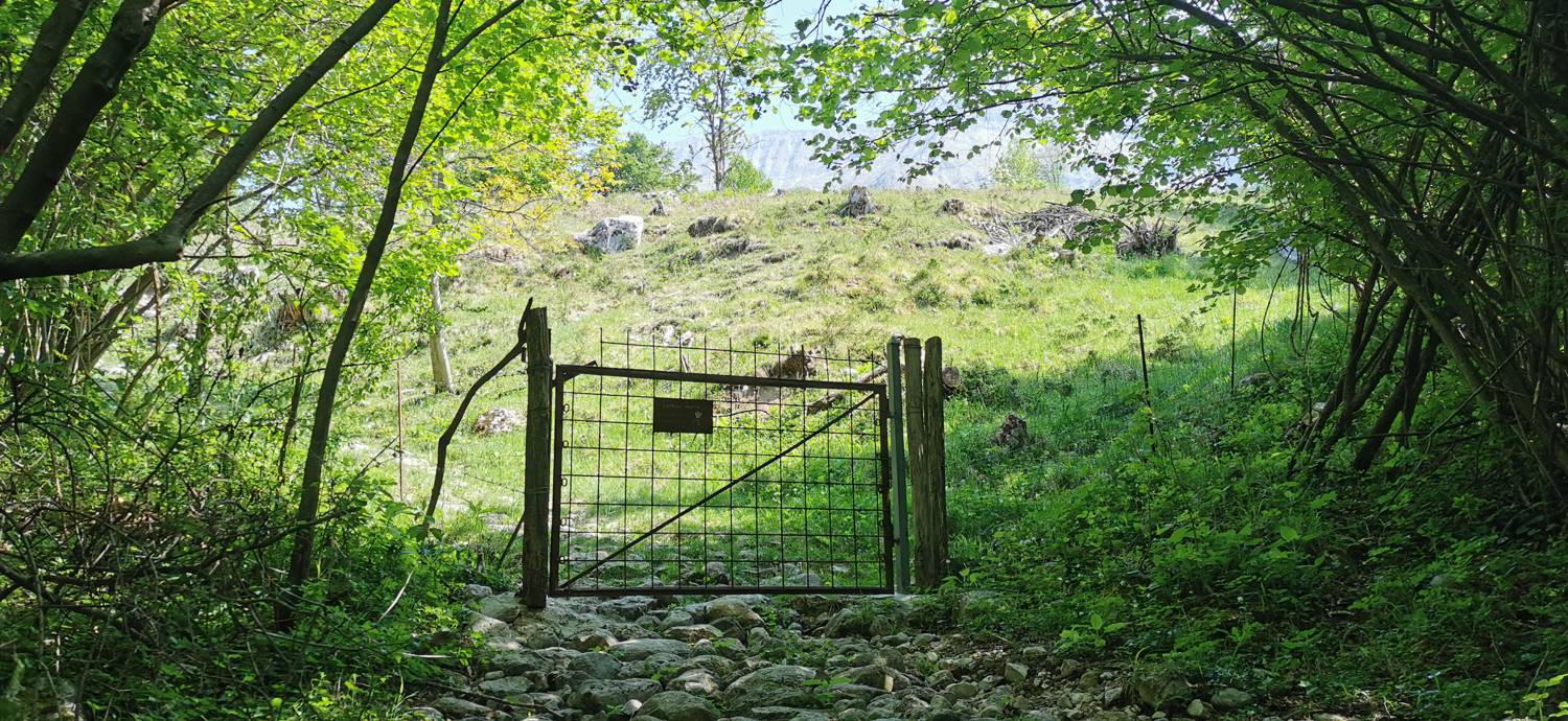 Drežnica - Bivak na Črniku slika 15