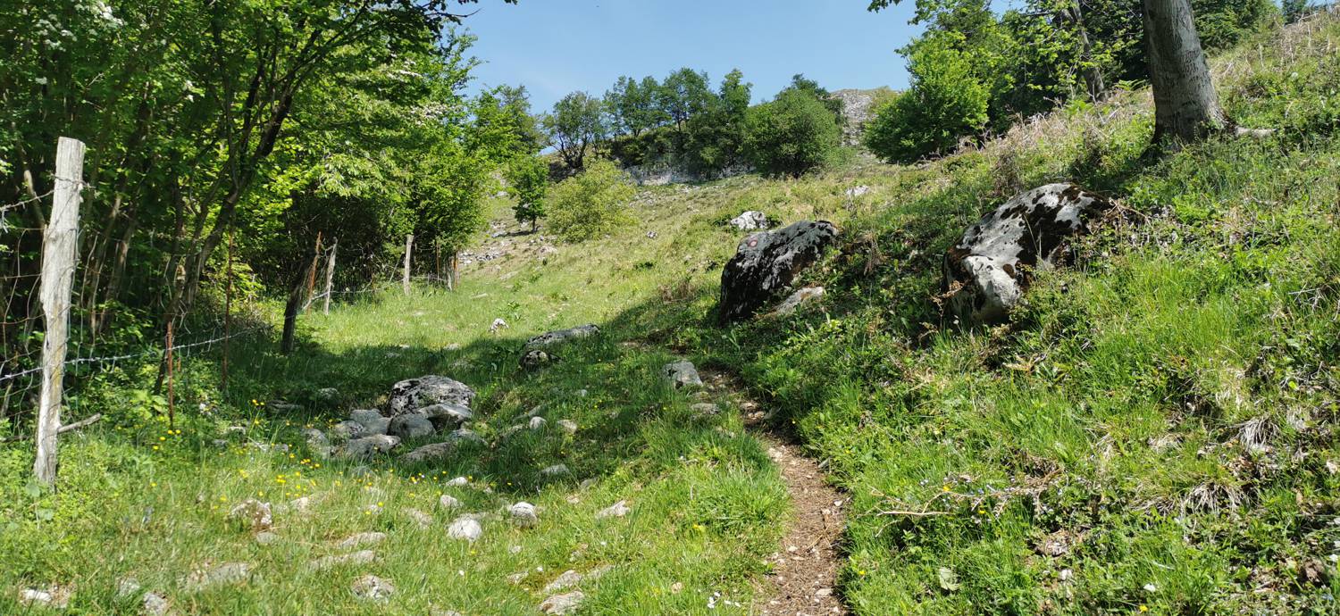 Drežnica - Bivak na Črniku slika 16