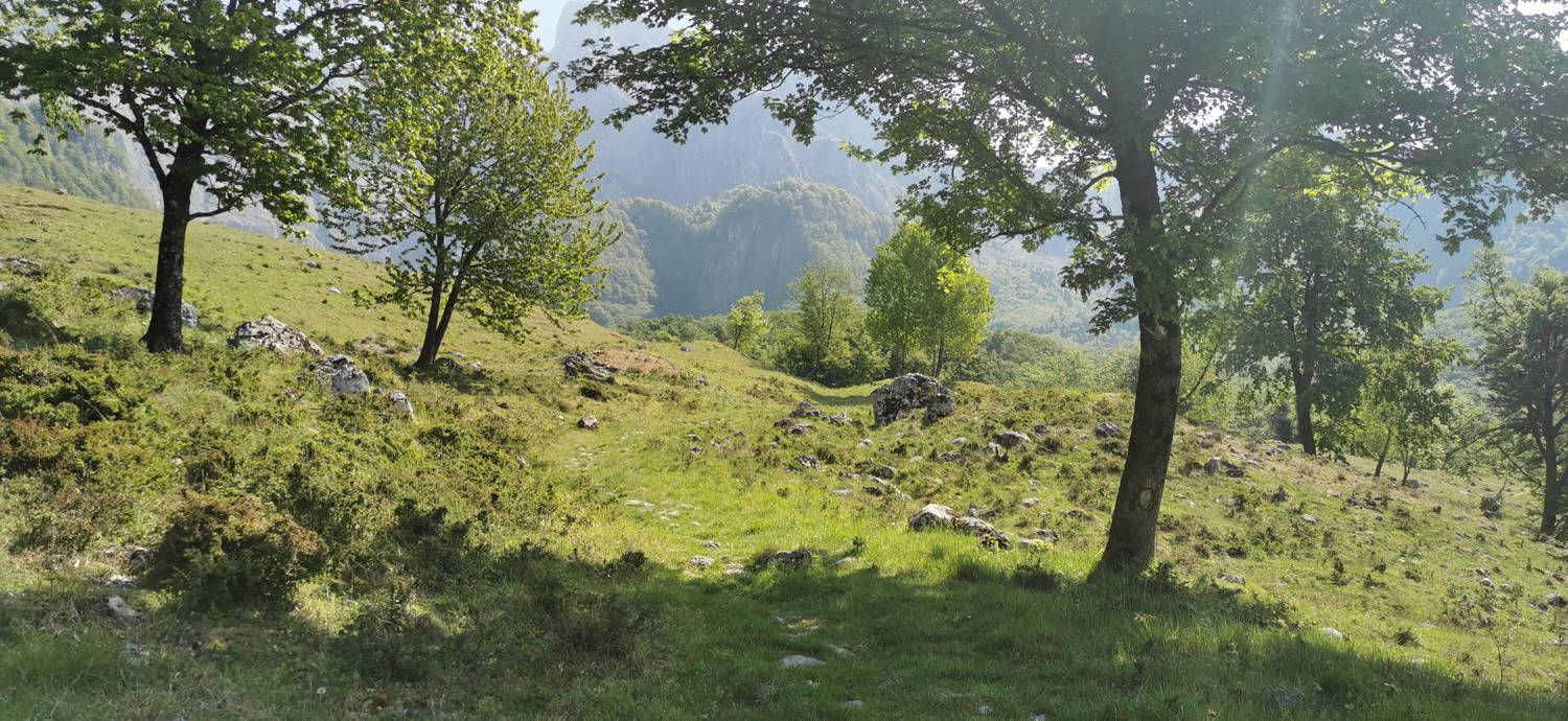Drežnica - Bivak na Črniku slika 17
