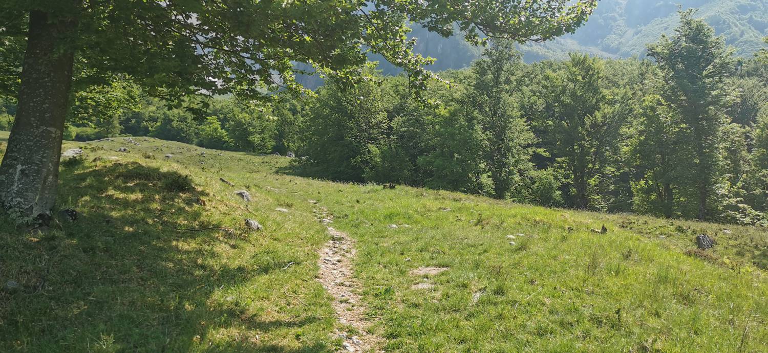 Drežnica - Bivak na Črniku slika 18