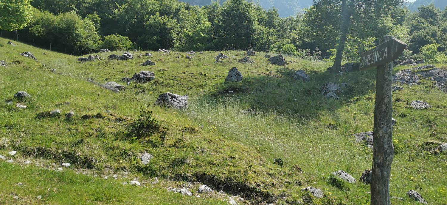 Drežnica - Bivak na Črniku slika 20