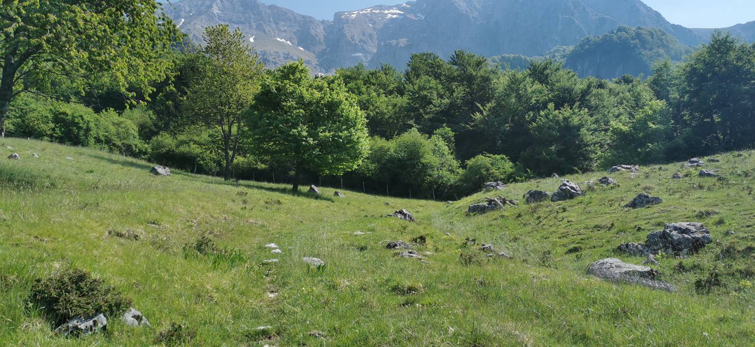 Drežnica - Bivak na Črniku slika 21