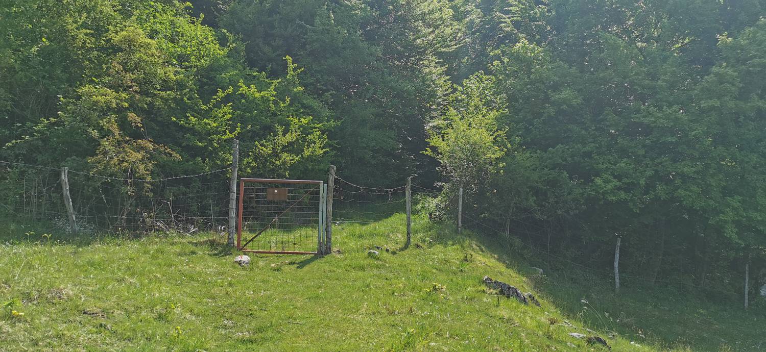 Drežnica - Bivak na Črniku slika 22
