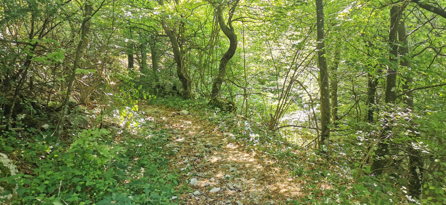 Drežnica - Bivak na Črniku slika 23