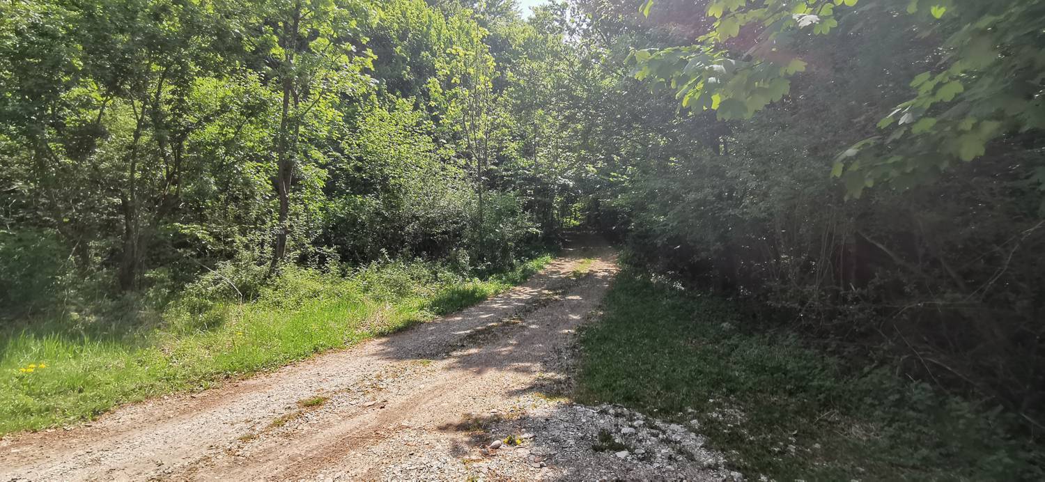 Drežnica - Bivak na Črniku slika 25