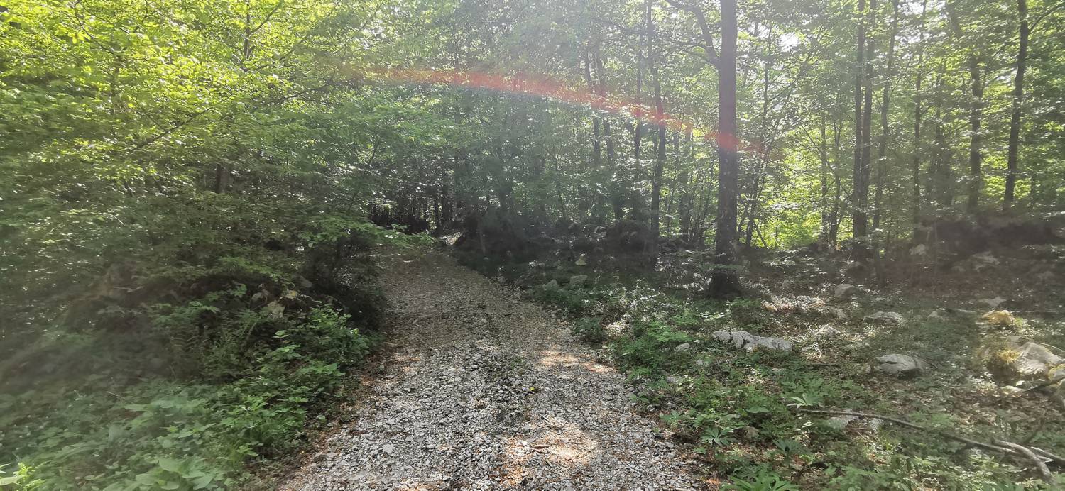 Drežnica - Bivak na Črniku slika 26