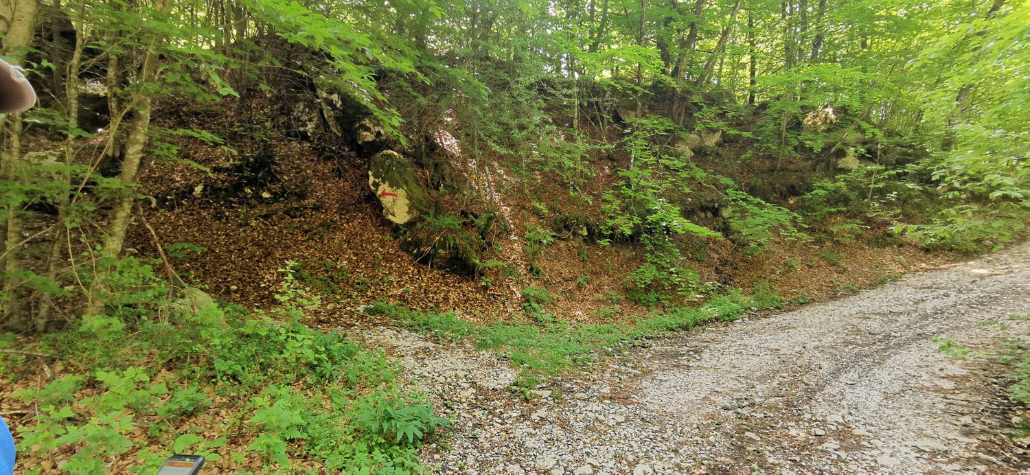 Drežnica - Bivak na Črniku slika 28