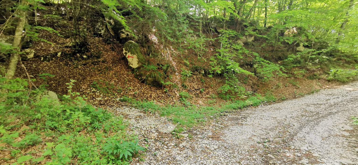 Drežnica - Bivak na Črniku slika 29