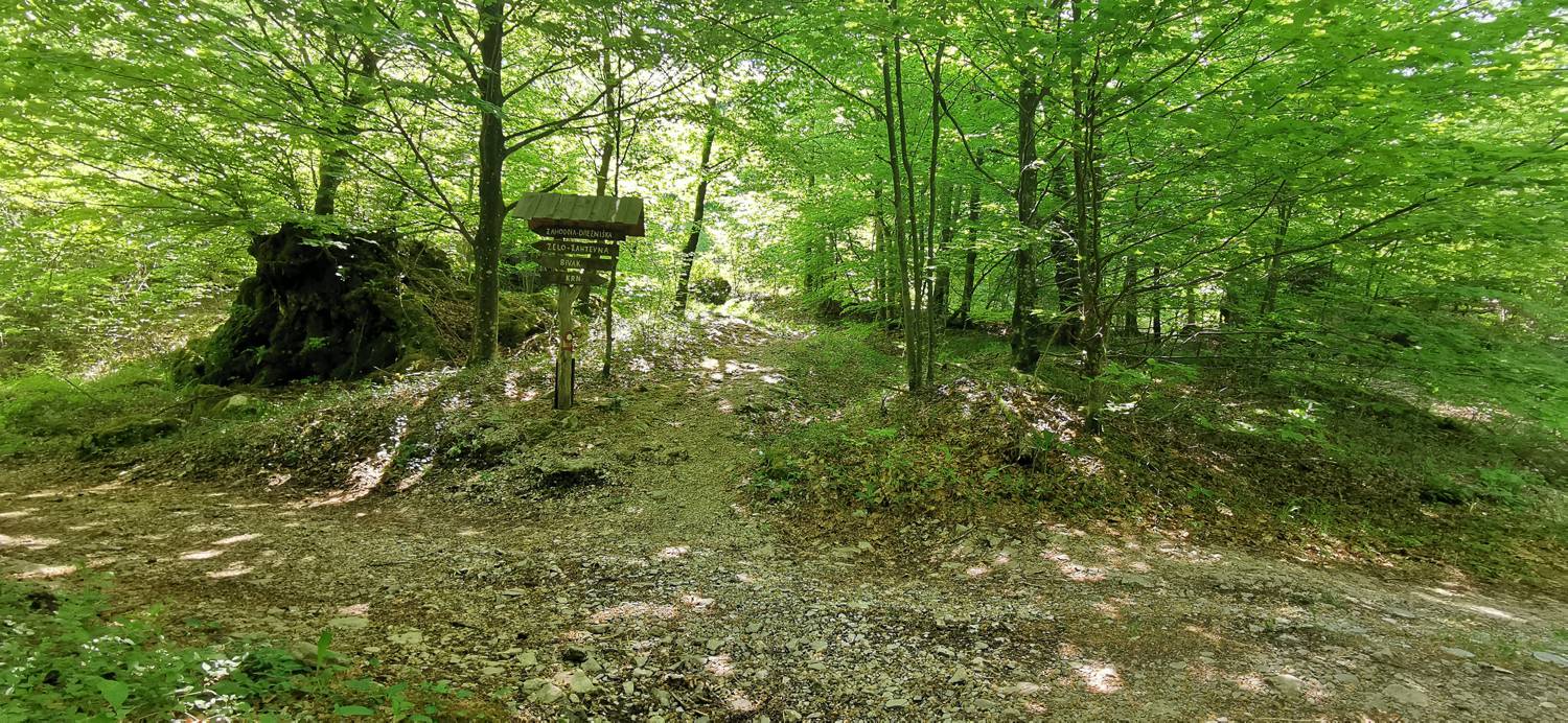 Drežnica - Bivak na Črniku slika 30