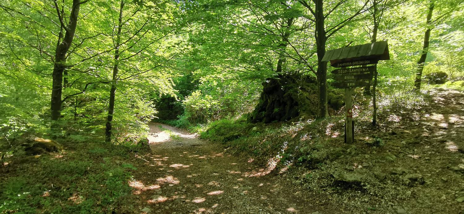 Drežnica - Bivak na Črniku slika 31