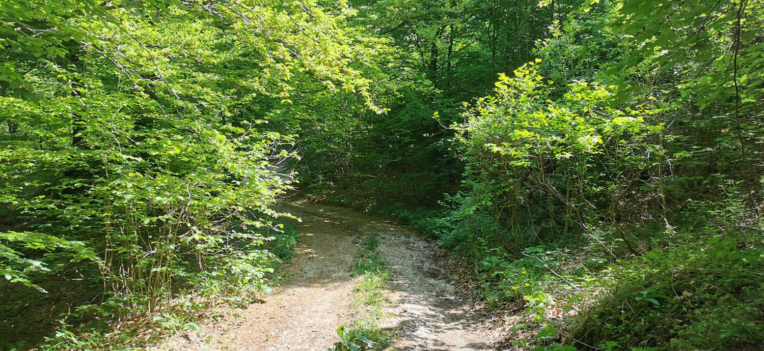 Drežnica - Bivak na Črniku slika 32