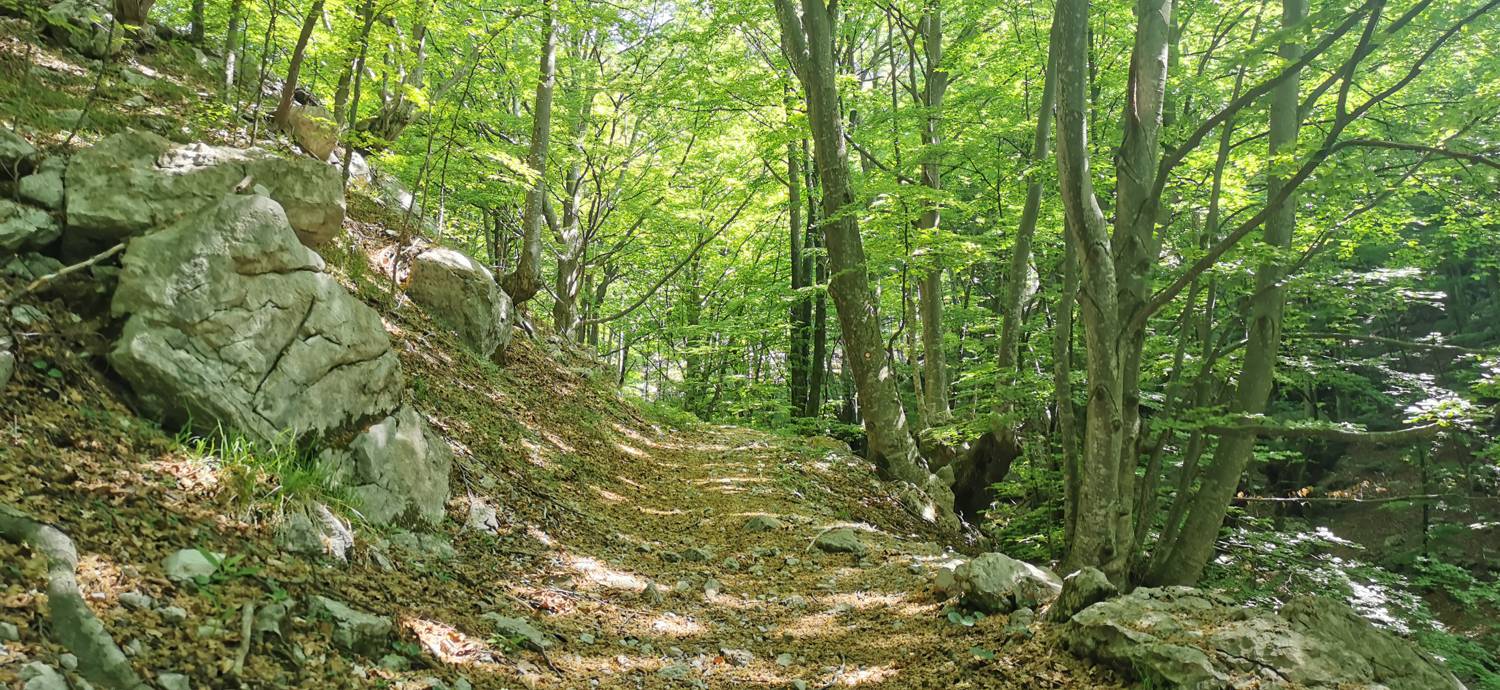 Drežnica - Bivak na Črniku slika 35
