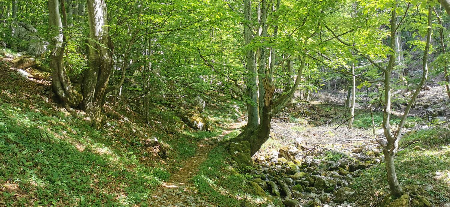 Drežnica - Bivak na Črniku slika 36