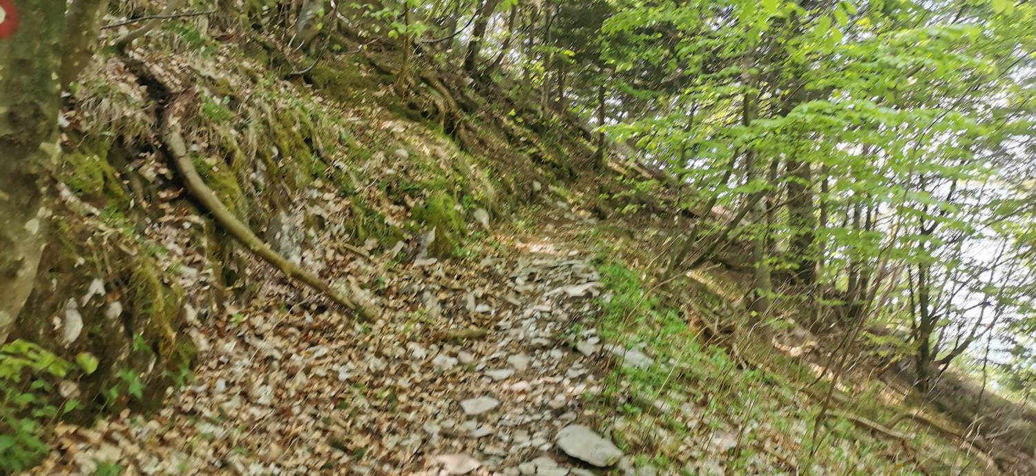 Drežnica - Bivak na Črniku slika 41