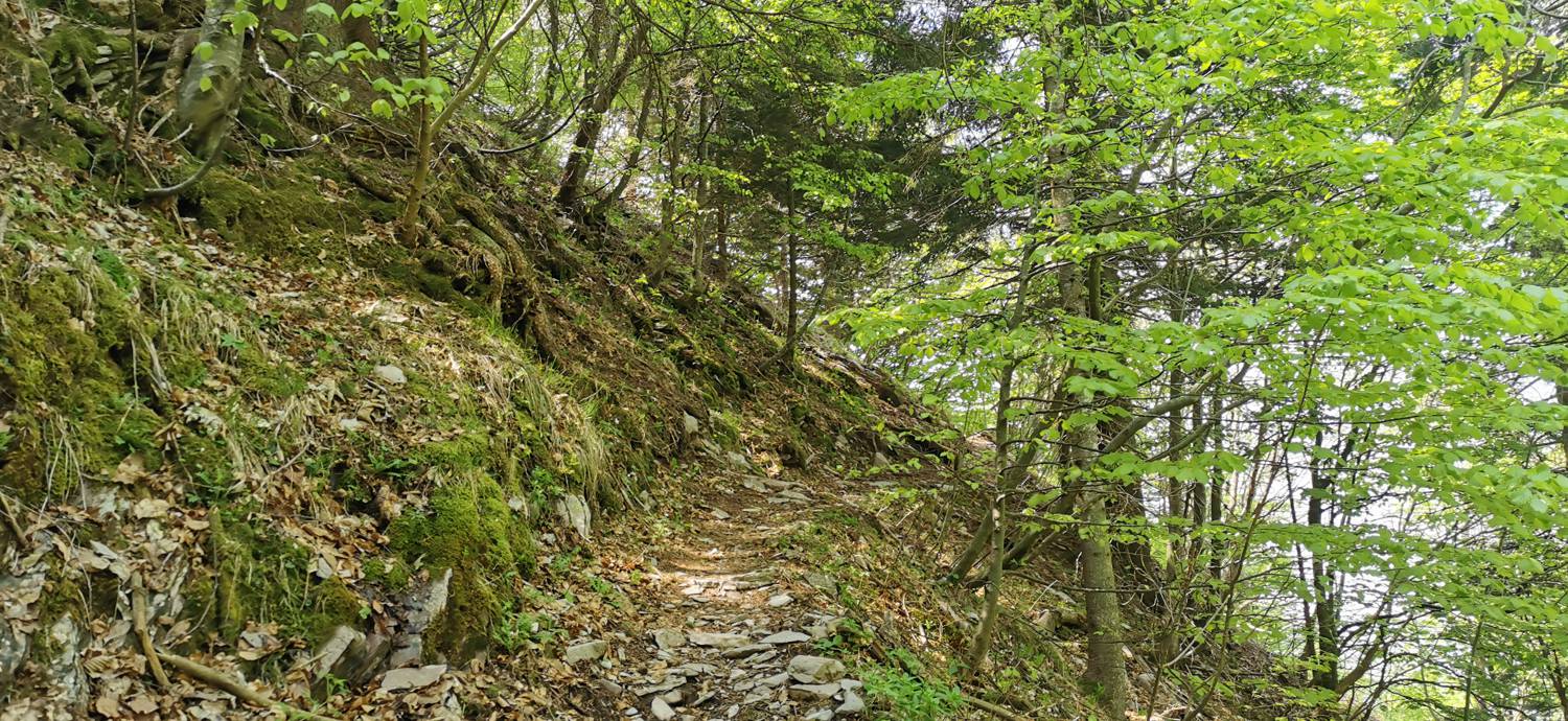 Drežnica - Bivak na Črniku slika 42