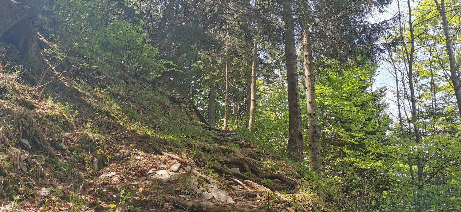 Drežnica - Bivak na Črniku slika 43