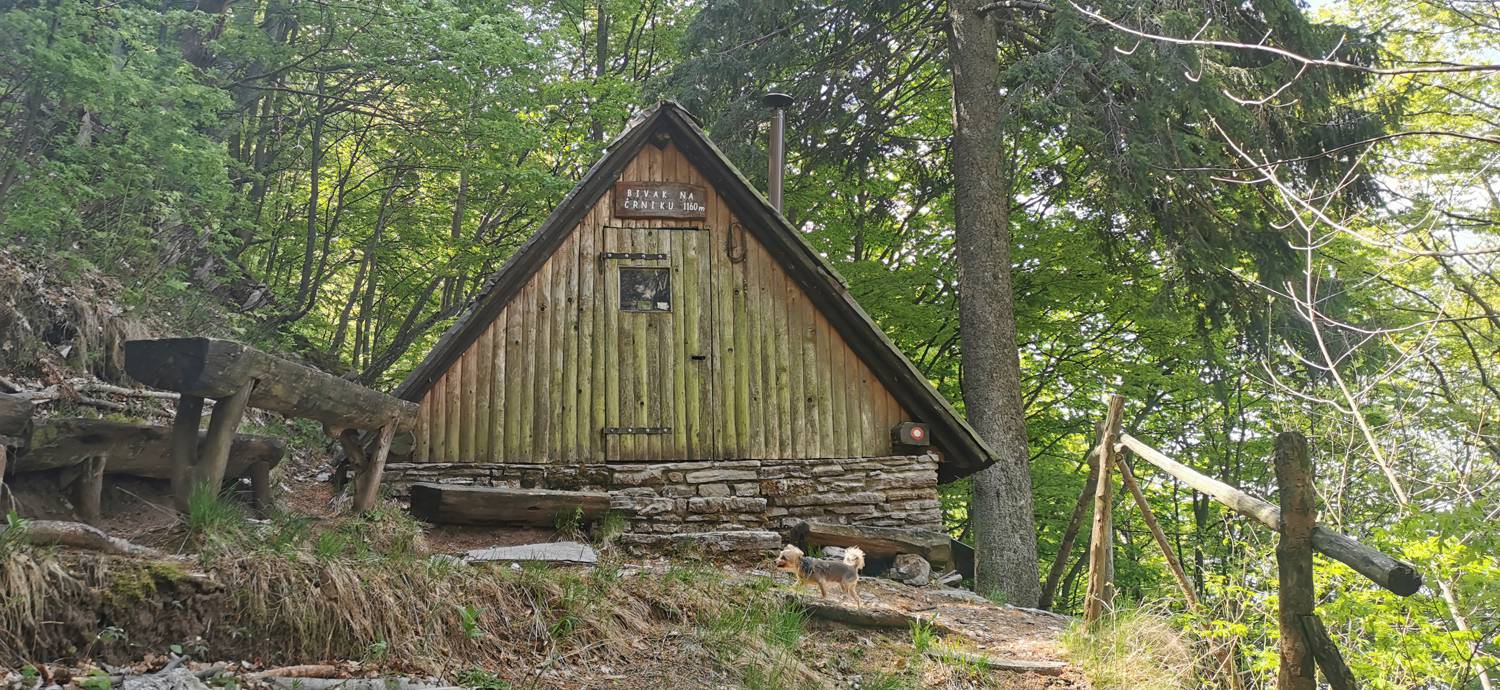 Drežnica - Bivak na Črniku slika 46